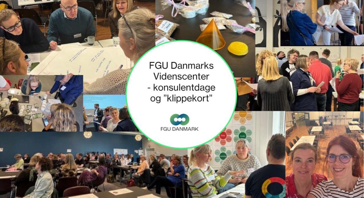 FGU Danmarks Videnscenter Lancerer Konsulentydelser Og Klippekort Til ...